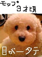 画像1048.jpg