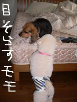 画像 004.jpg