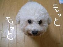画像 1022.jpg
