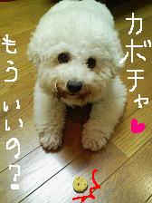 画像 1034.jpg