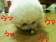 画像 1035.jpg