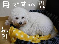 画像 1038.jpg