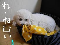 画像 1039.jpg