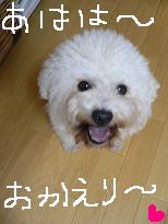 画像 1040.jpg