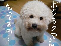 画像 1044.jpg