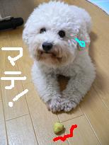 画像 1048.jpg