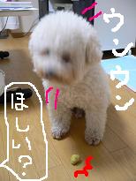 画像 1049.jpg