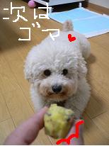 画像 1051.jpg