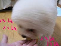 画像 1052.jpg