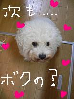 画像 1056.jpg