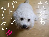 画像 1065.jpg