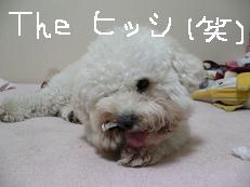 画像 1066.jpg