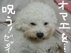 画像 1325.jpg