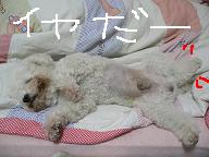 画像 1334.jpg