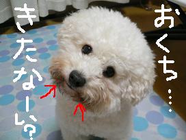 画像 1336.jpg