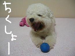 画像 1337.jpg