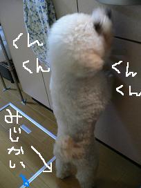 画像 1344.jpg