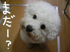 画像 1346.jpg