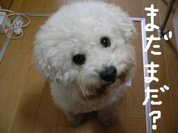 画像 1347.jpg