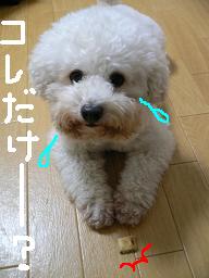 画像 1348.jpg