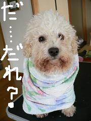 画像 1361.jpg