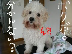 画像 1362.jpg