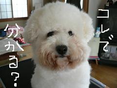 画像 1363.jpg