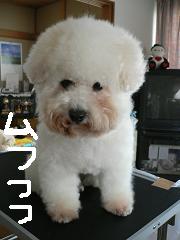 画像 1364.jpg