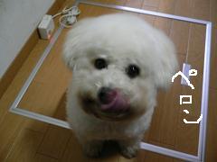 画像 1389.jpg