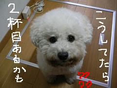 画像 1390.jpg