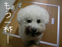 画像 1391.jpg