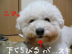 画像 1392.jpg