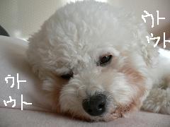画像 1400.jpg