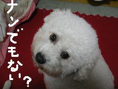 画像 1404.jpg