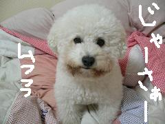 画像 1405.jpg