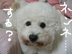 画像 1406.jpg
