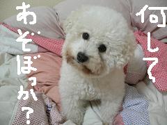 画像 1407.jpg
