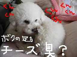 画像 1410.jpg