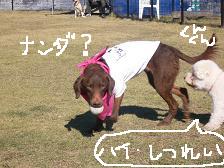 画像 1411.jpg