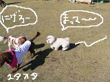 画像 1413.jpg