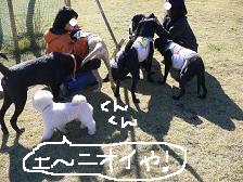 画像 1414.jpg