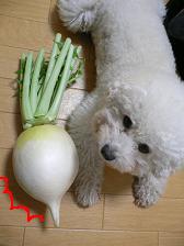 画像 1417.jpg