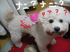 画像 1423.1.jpg