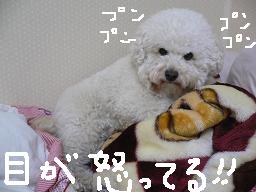 画像 1423.jpg