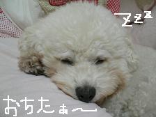 画像 1424.jpg