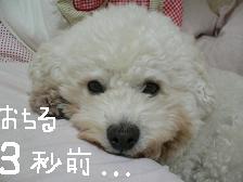 画像 1425.jpg