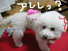 画像 1428.jpg
