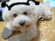 画像 1431.jpg
