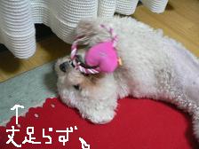 画像 1437.jpg