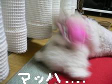 画像 1438.jpg